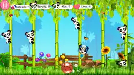 hit the panda - knockdown game iphone images 2
