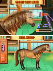 horse hair salon ipad images 2