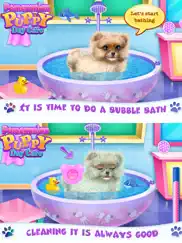 pomeranian puppy day care ipad images 2