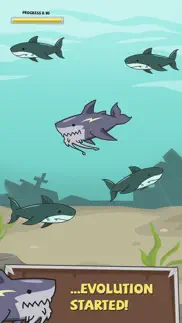 great white shark evolution iphone images 2