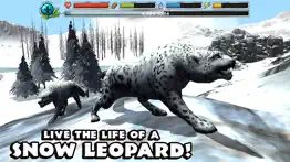 snow leopard simulator iphone resimleri 1