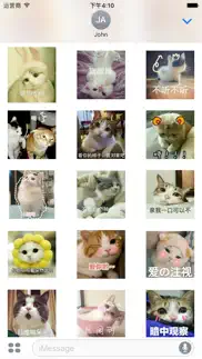 real cat emoji sticker iphone images 3