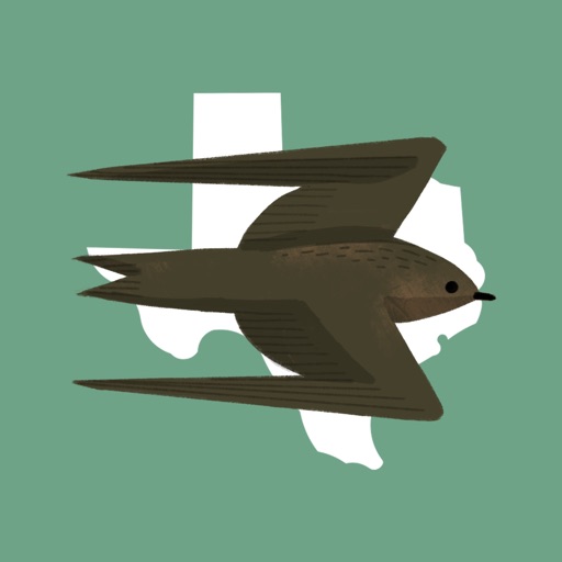 Texas Birds Sticker Pack app reviews download