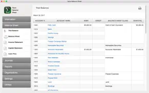 nano balance sheet iphone capturas de pantalla 2