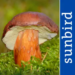 mushroom guide british isles logo, reviews