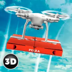 rc drone pizza delivery flight simulator logo, reviews