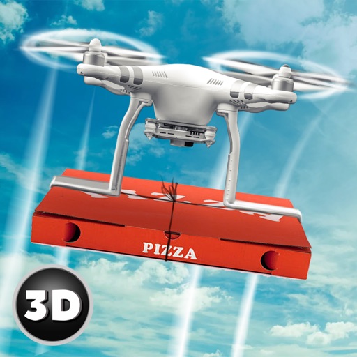 RC Drone Pizza Delivery Flight Simulator app reviews download