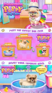 pomeranian puppy day care iphone images 1
