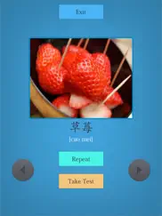 learn chinese easily ipad images 4