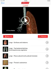 lungs - digital anatomy ipad images 2