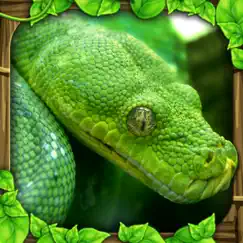 snake simulator logo, reviews