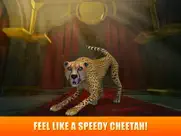fury cheetah deathmatch fighting ipad images 1
