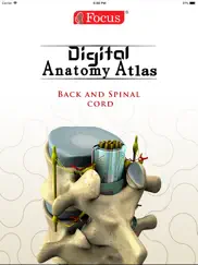 back and spinal cord ipad images 1
