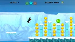 penguin run super racing dash games iphone images 2