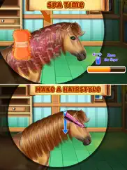 horse hair salon ipad images 3