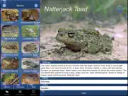 reptile id - uk field guide ipad images 2