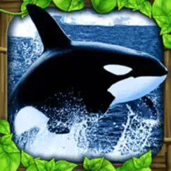 orca simulator logo, reviews