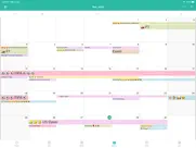 bigcal - month view calender ipad images 3