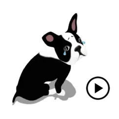 boston terrier dog bostonmoji logo, reviews