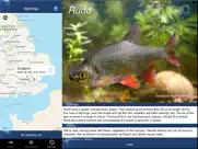 fish id - freshwater fish uk ipad images 4