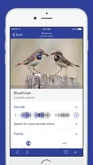 iknow birds pro - usa iphone capturas de pantalla 3