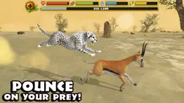 cheetah simulator iphone images 3