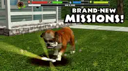 stray dog simulator iphone capturas de pantalla 4