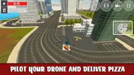 rc drone pizza delivery flight simulator iphone images 1