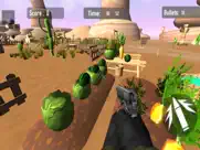 watermelon fruit shooter fps ipad images 3
