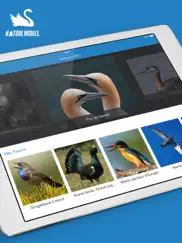 les oiseaux pro hd iPad Captures Décran 1