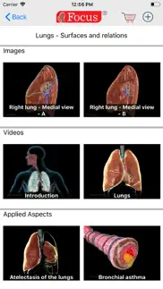 lungs - digital anatomy iphone images 3