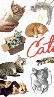 catnap 1: sleepy cat stickers iphone images 1