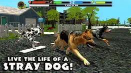 stray dog simulator iphone resimleri 1