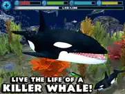 orca simulator ipad images 1