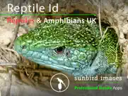 reptile id - uk field guide ipad images 1
