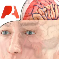 pocket brain logo, reviews