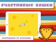 happycats pro игра для кошек айпад изображения 1
