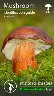 mushroom guide british isles iphone images 1