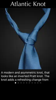 perfect necktie iphone images 1
