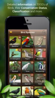 bird songs - bird call & guide iphone images 3