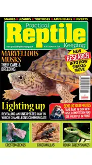 practical reptile keeping iphone images 3