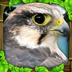 falcon simulator logo, reviews