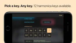 harmonica iphone capturas de pantalla 4