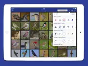 les oiseaux 2 pro - usa iPad Captures Décran 2