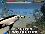 dolphin simulator ipad resimleri 4
