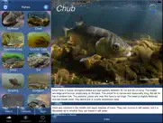 fish id - freshwater fish uk ipad images 1