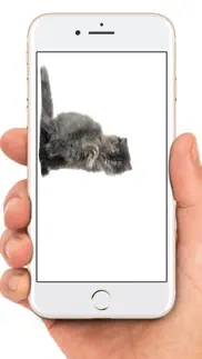 mouse on screen scary joke iphone images 4