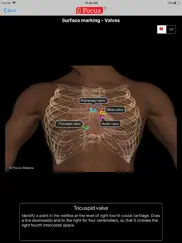 heart - digital anatomy ipad images 4
