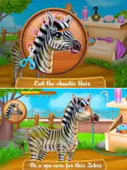 zebra caring ipad images 2