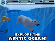 polar bear simulator ipad resimleri 3